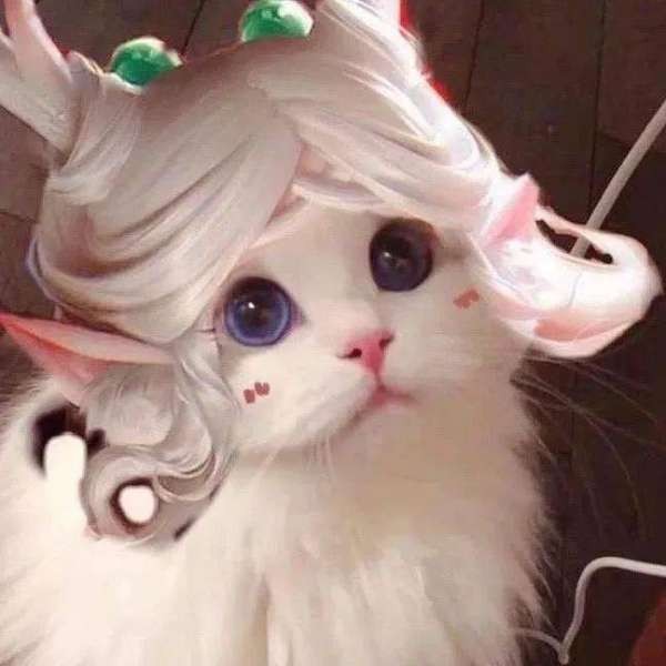 彩虹猫.mp3