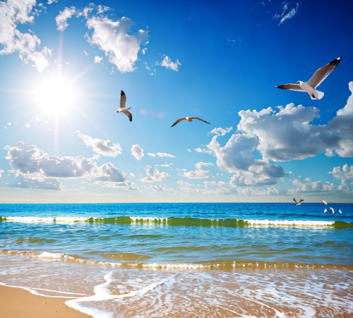 原谅我这一生不羁放纵爱自由 也会怕有一天会跌倒 是哪首歌里的词？